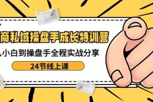 电商私域操盘手成长特训：从小白到操盘手全程实战分享【24节线上课】