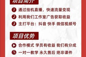 无人直播 无人放映介绍（一天200-600）