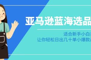亚马逊运营蓝海选品课：适合新手小白卖家，让你轻松日出几十单小爆款产品