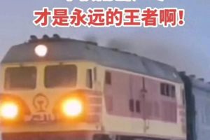 今年竟然是绿皮车最先到家,绿皮车：拉不完 根本拉不完
