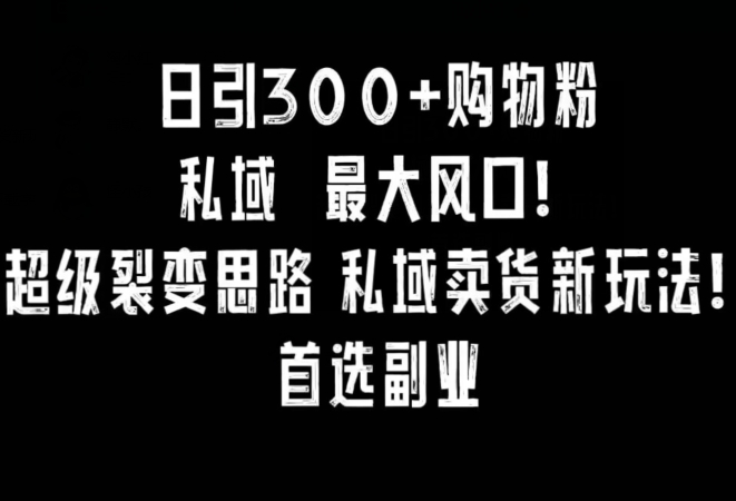 每日引300+购物粉，超级裂变新思路，私域卖货新玩法，小红书首选副业