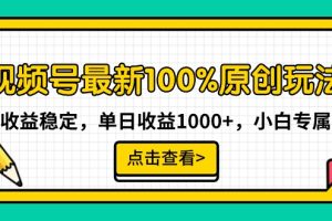 最新视频号100%原创玩法，收益稳定，单日收益1000+，小白专属