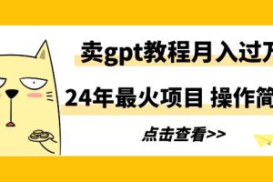 2024年最火项目，卖gpt教程月入过万，简单操作