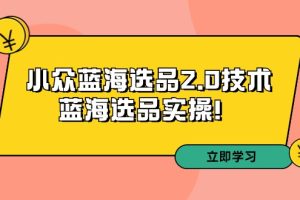 拼多多开店培训第33期：小众蓝海选品2.0技术-蓝海选品运营实操！