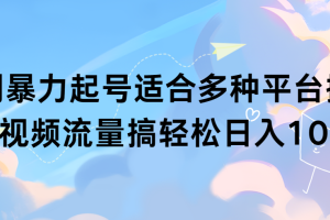 扩列暴力起号适合多种平台操作原创视频流量搞轻松日入1000+