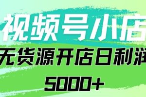视频号无货源小店：从0到1日订单量千单以上纯利润稳稳5000+【揭秘】