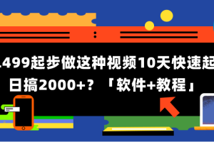 1单499起步，做这种视频10天快速起号日搞2000+？「软件+教程」