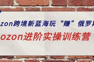 ozon跨境新蓝海玩“赚”俄罗斯，ozon进阶实操训练营