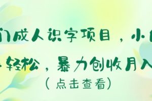 冷门项目成人识字，新手小白上手轻松，暴力创收月入5W+【揭秘】