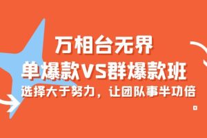炫酷万相台无界-单爆款VS群爆款班：选择大于努力，让团队事半功倍（16节课）