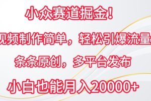 小众赛道掘金，原创视频制作简单，条条轻松引爆流量，多平台发布【揭秘】