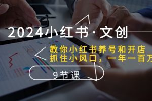 2024小红书·文创:学会小红书养号和开店、抓住小风口 一年一百万 (9节课)