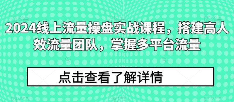 2024流量王者修炼手册:打造高效流量团队,解锁多平台流量秘籍 2024流量王者修炼手册:打造高效流量团队,解锁多平台流量秘籍