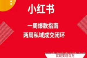 小红书流量秘籍：两周速成爆款笔记，解锁免费流量池