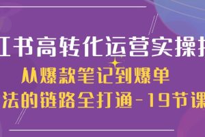 小红书高转化运营实操技术，从爆款笔记到爆单玩法的链路全打通-19节课