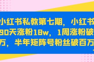 小红书涨粉变现秘籍：小红书90天涨粉18W，1周涨粉破万，半年矩阵号粉丝破百万