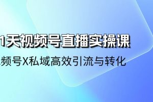 21天-视频号直播实操课,视频号X私域高效引流与转化(22节课)