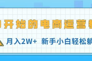 从0开始的电商运营教学,月入2W+,新手小白轻松躺赚