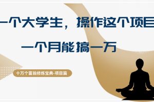 一个大学生，操作这个项目一个月能搞1w,轻松做到月入四位数