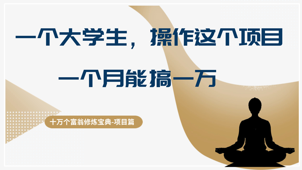 一个大学生，操作这个项目一个月能搞1w,轻松做到月入四位数