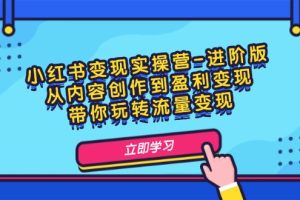小红书变现实操营-进阶版：从内容创作到盈利变现，带你玩转流量变现